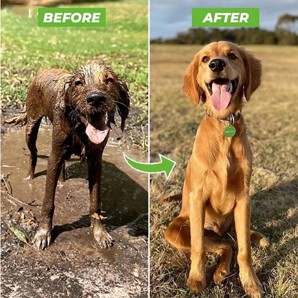 Quick Wash Pet Shower Gun