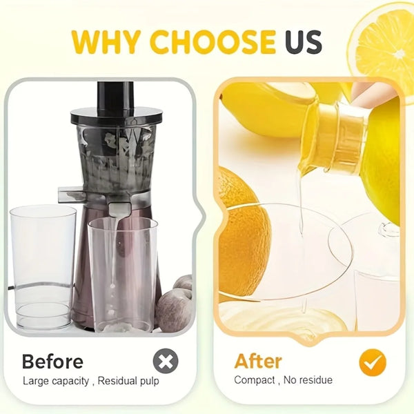Easy Lemon Juicer Delight